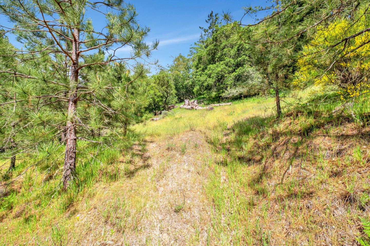 Detail Gallery Image 14 of 18 For 0 Zayante School, Felton,  CA 95018 - – Beds | – Baths
