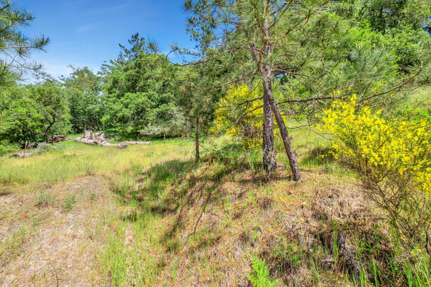 Detail Gallery Image 15 of 18 For 0 Zayante School, Felton,  CA 95018 - – Beds | – Baths