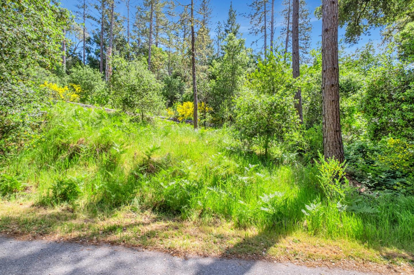 Detail Gallery Image 17 of 18 For 0 Zayante School, Felton,  CA 95018 - – Beds | – Baths