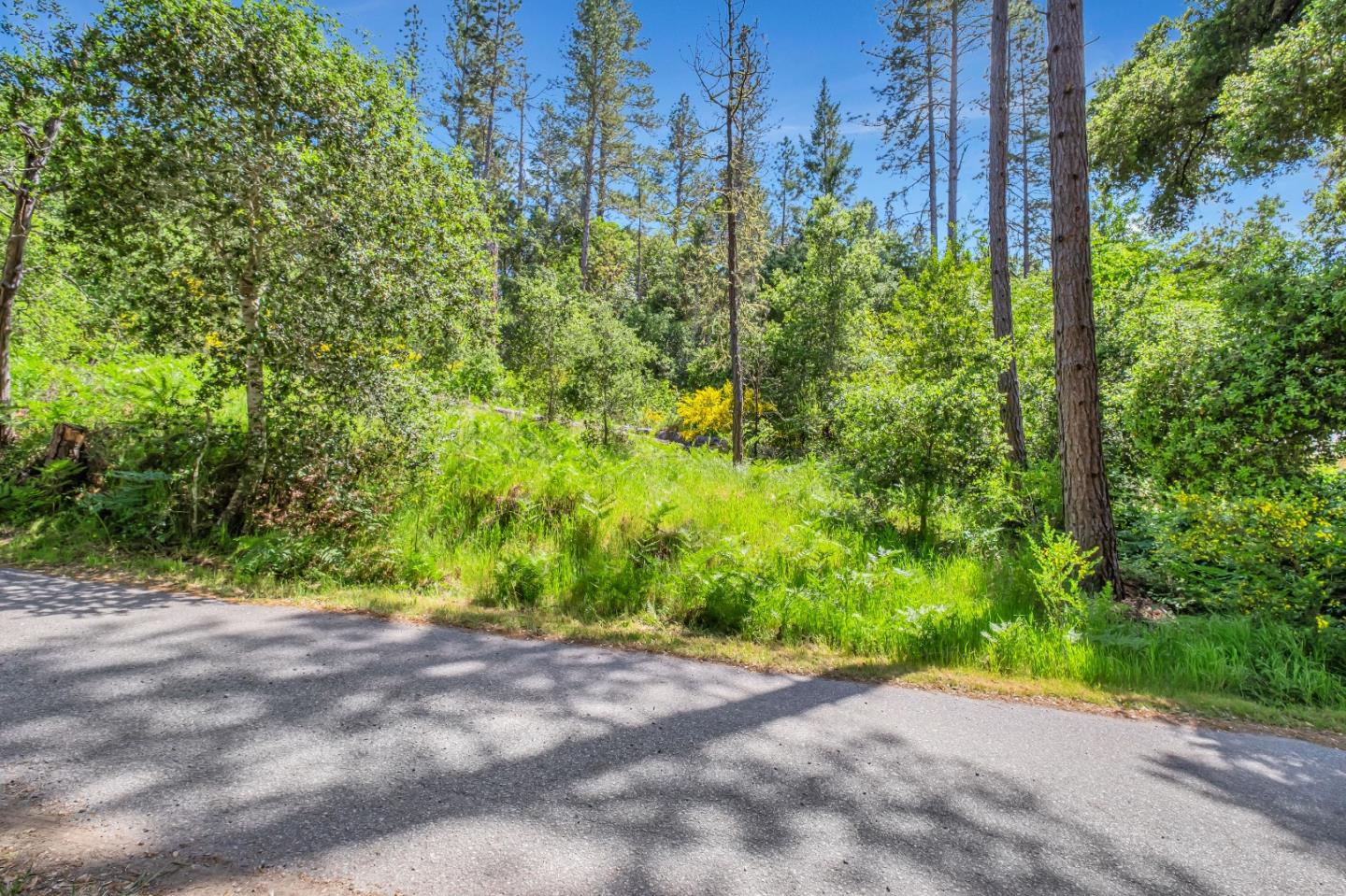 0 Zayante School, Felton, CA, 95018