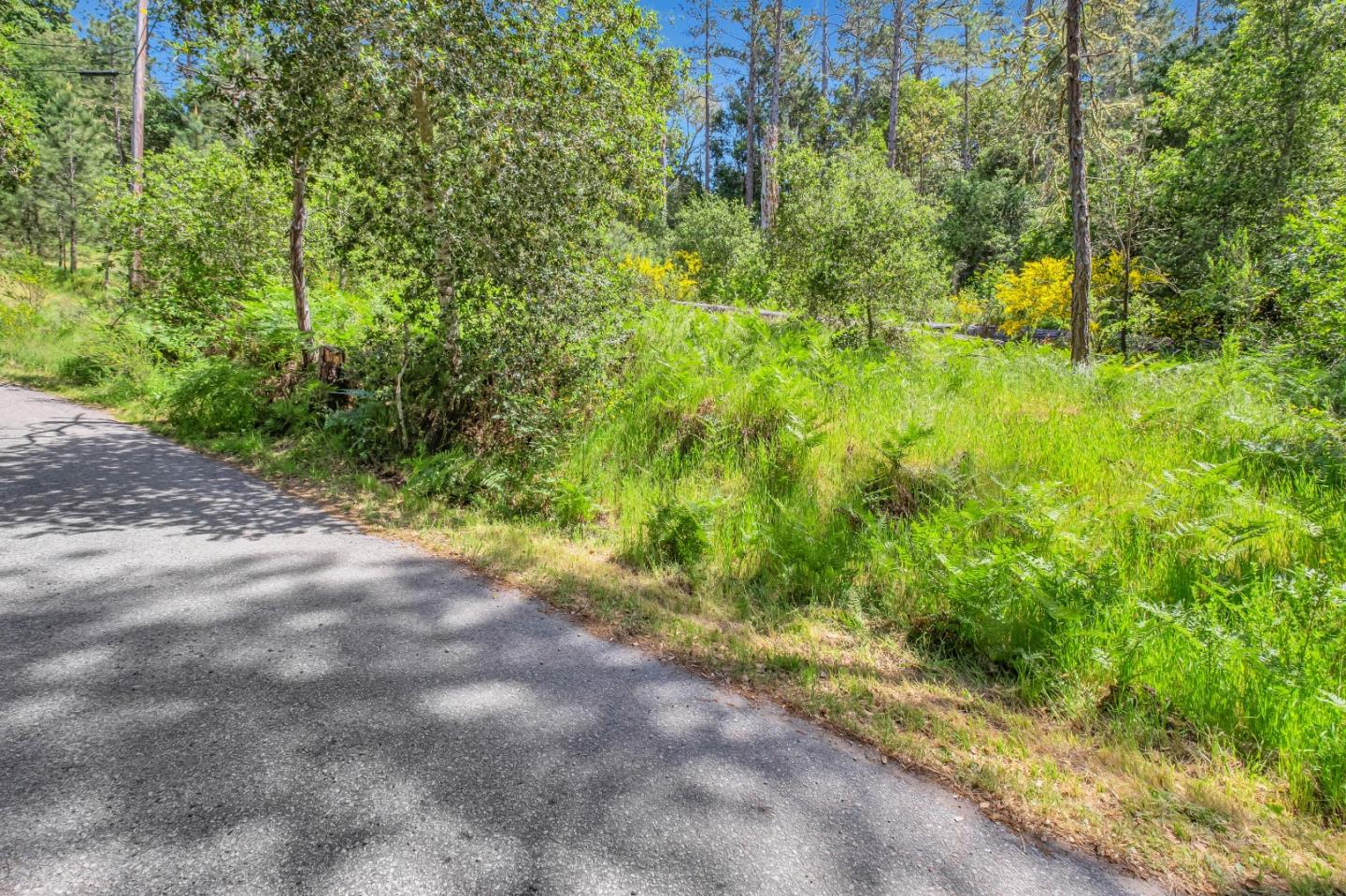 Detail Gallery Image 3 of 18 For 0 Zayante School, Felton,  CA 95018 - – Beds | – Baths