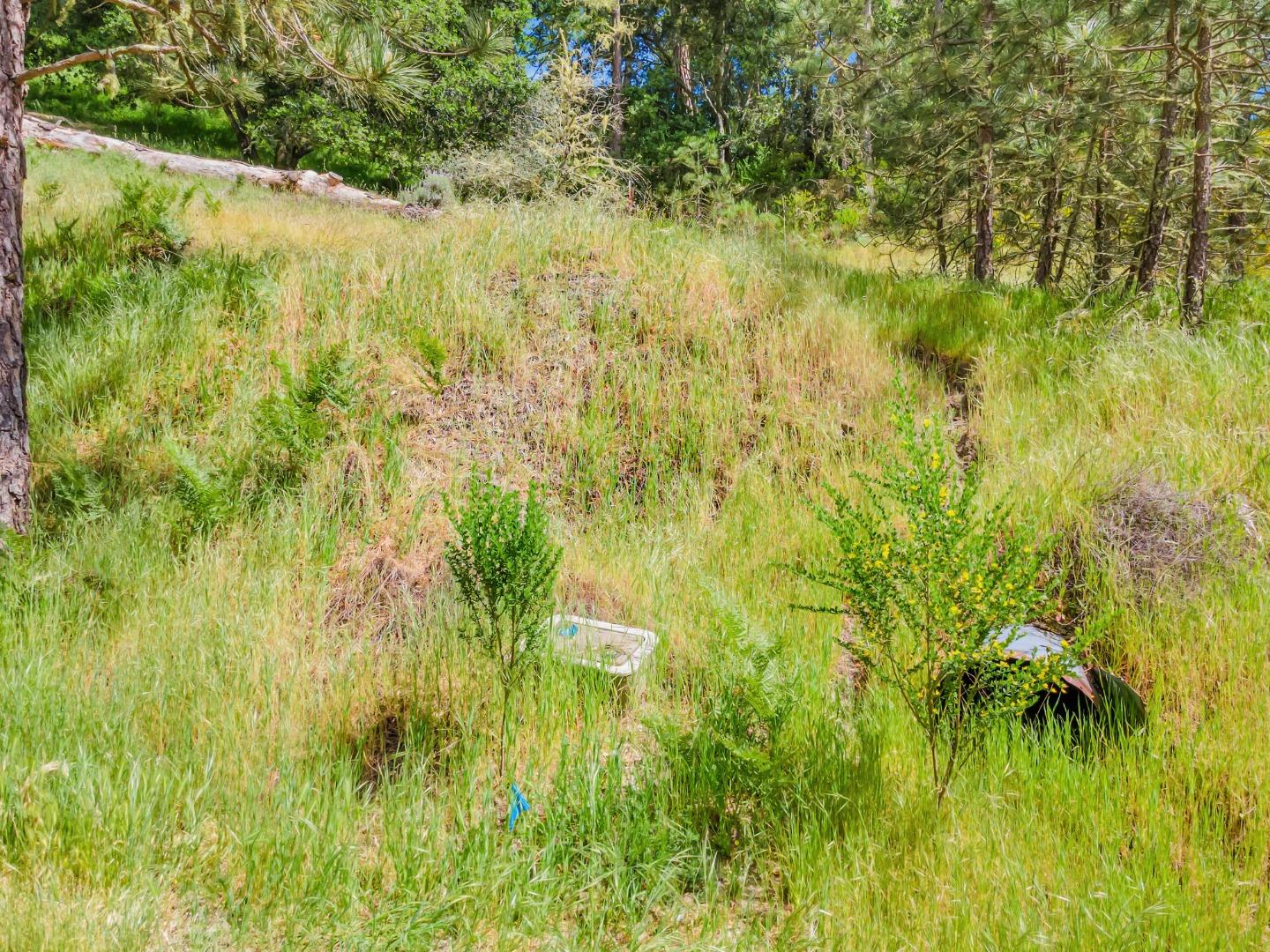 Detail Gallery Image 4 of 18 For 0 Zayante School, Felton,  CA 95018 - – Beds | – Baths