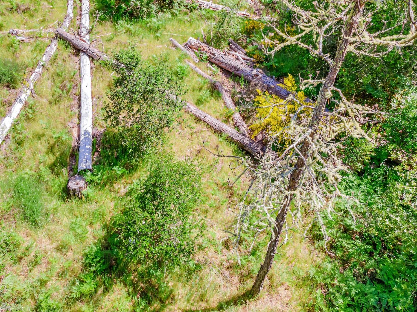 Detail Gallery Image 5 of 18 For 0 Zayante School, Felton,  CA 95018 - – Beds | – Baths