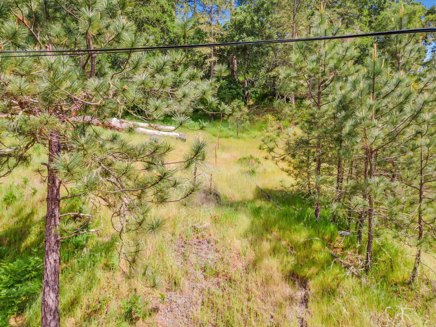 Detail Gallery Image 6 of 18 For 0 Zayante School, Felton,  CA 95018 - – Beds | – Baths