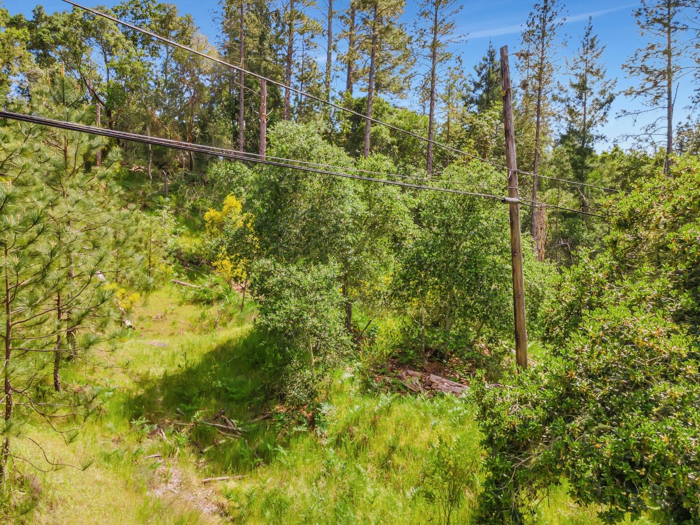 Detail Gallery Image 9 of 18 For 0 Zayante School, Felton,  CA 95018 - – Beds | – Baths