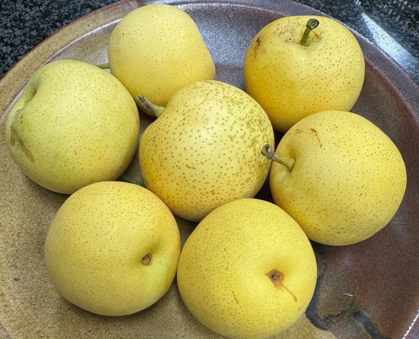 Detail Gallery Image 64 of 69 For 6894 Serenity Ct, San Jose,  CA 95120 - 6 Beds | 4/1 Baths