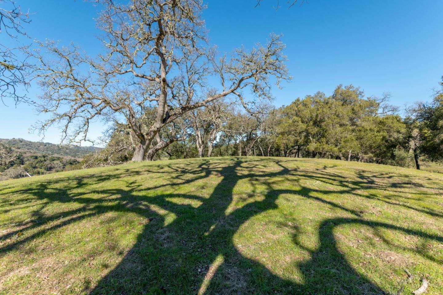 Detail Gallery Image 8 of 23 For 25 Arroyo Sequoia (Lot 108), Carmel,  CA 93923 - – Beds | – Baths