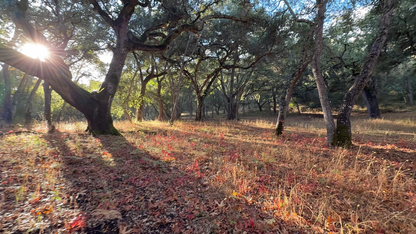 Detail Gallery Image 2 of 18 For 9 Garzas (Lot 49) Trl, Carmel,  CA 93923 - – Beds | – Baths