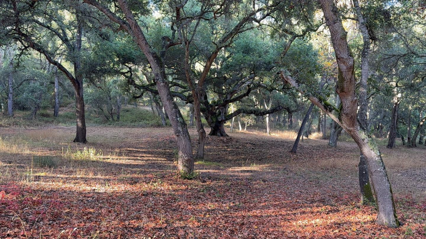 Detail Gallery Image 3 of 18 For 9 Garzas (Lot 49) Trl, Carmel,  CA 93923 - – Beds | – Baths