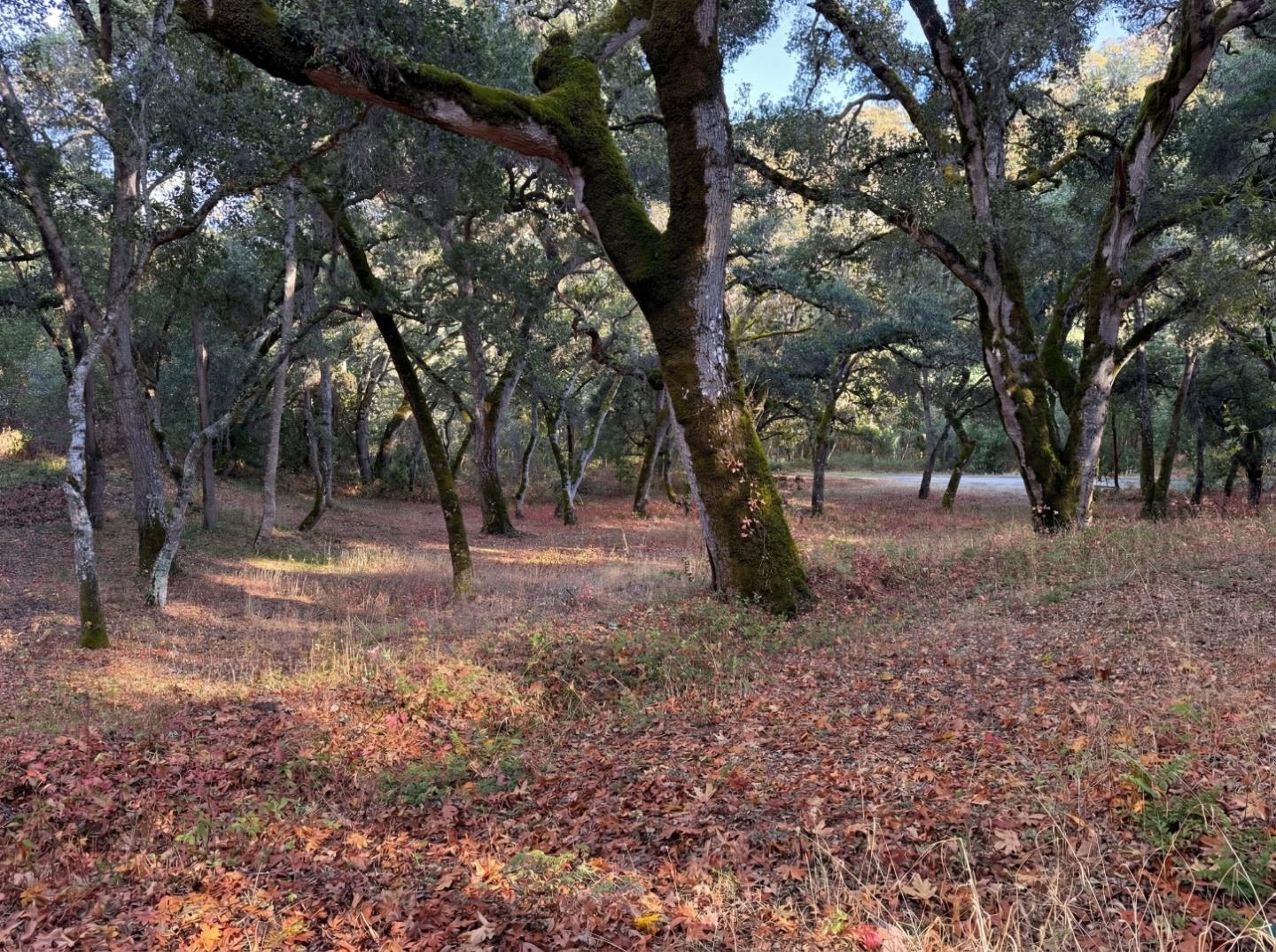 Detail Gallery Image 5 of 18 For 9 Garzas (Lot 49) Trl, Carmel,  CA 93923 - – Beds | – Baths