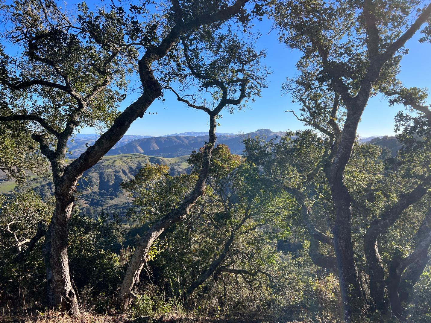 Detail Gallery Image 10 of 21 For 13 Cantera (Lot 185) Run, Carmel,  CA 93923 - – Beds | – Baths