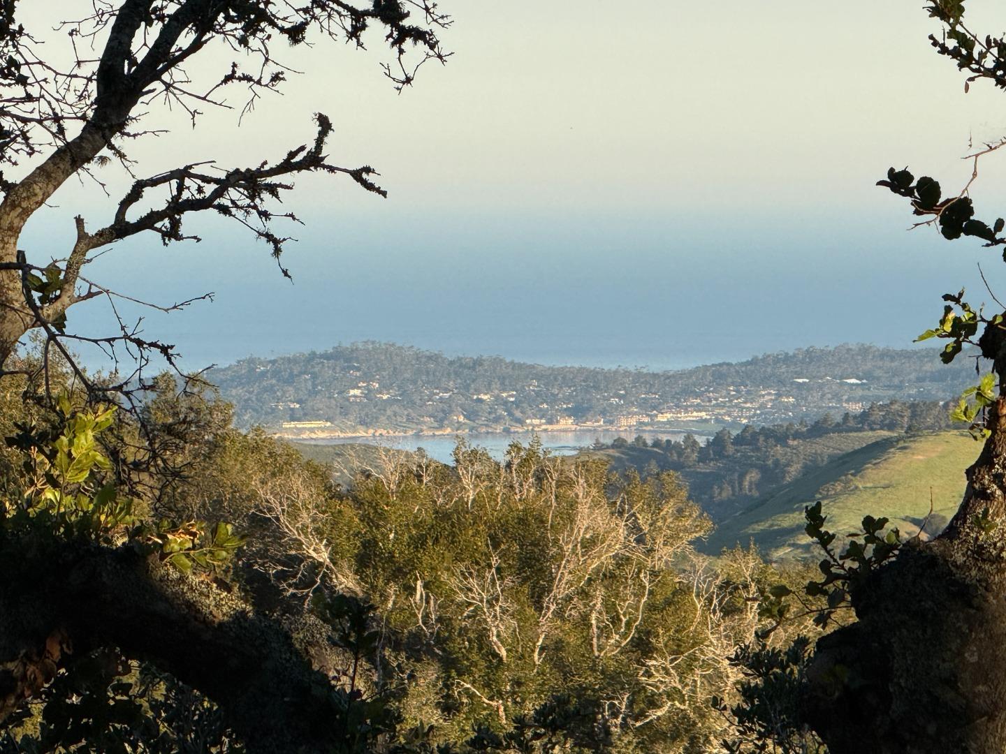 Carmel