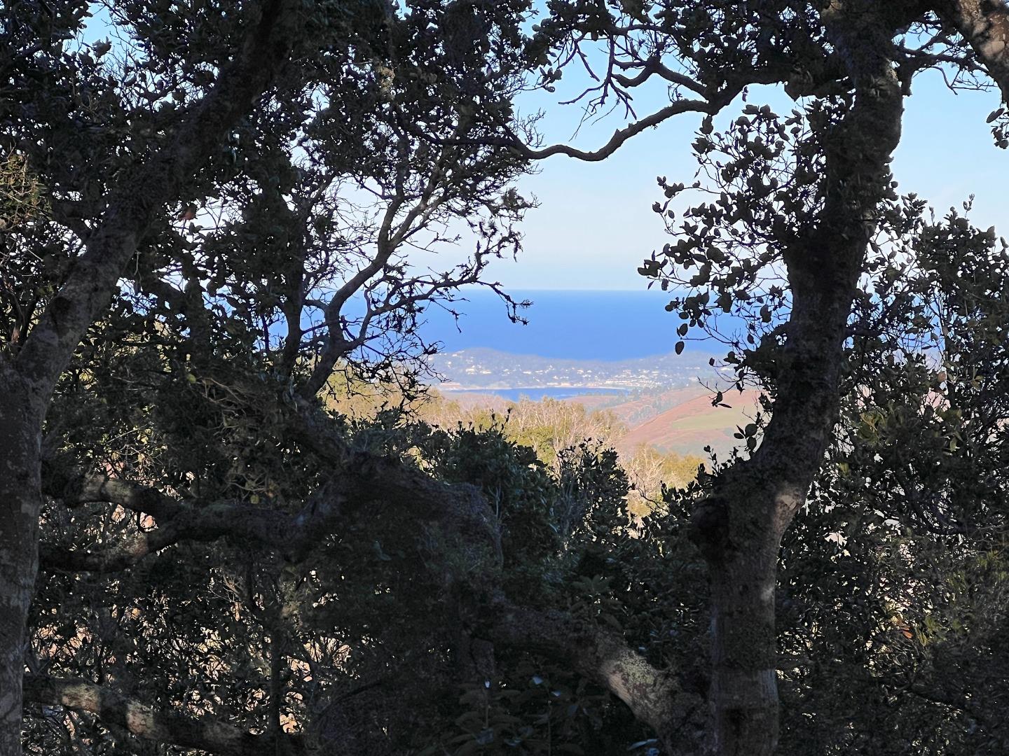 Detail Gallery Image 6 of 21 For 13 Cantera (Lot 185) Run, Carmel,  CA 93923 - – Beds | – Baths