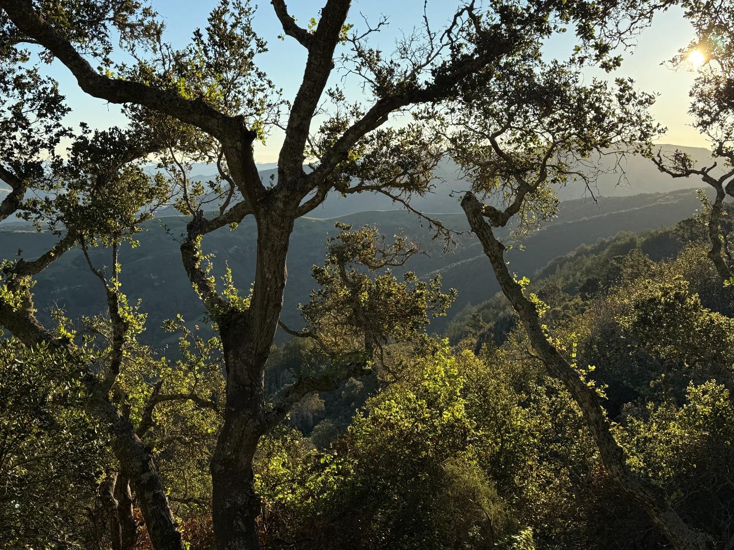 Detail Gallery Image 8 of 21 For 13 Cantera (Lot 185) Run, Carmel,  CA 93923 - – Beds | – Baths