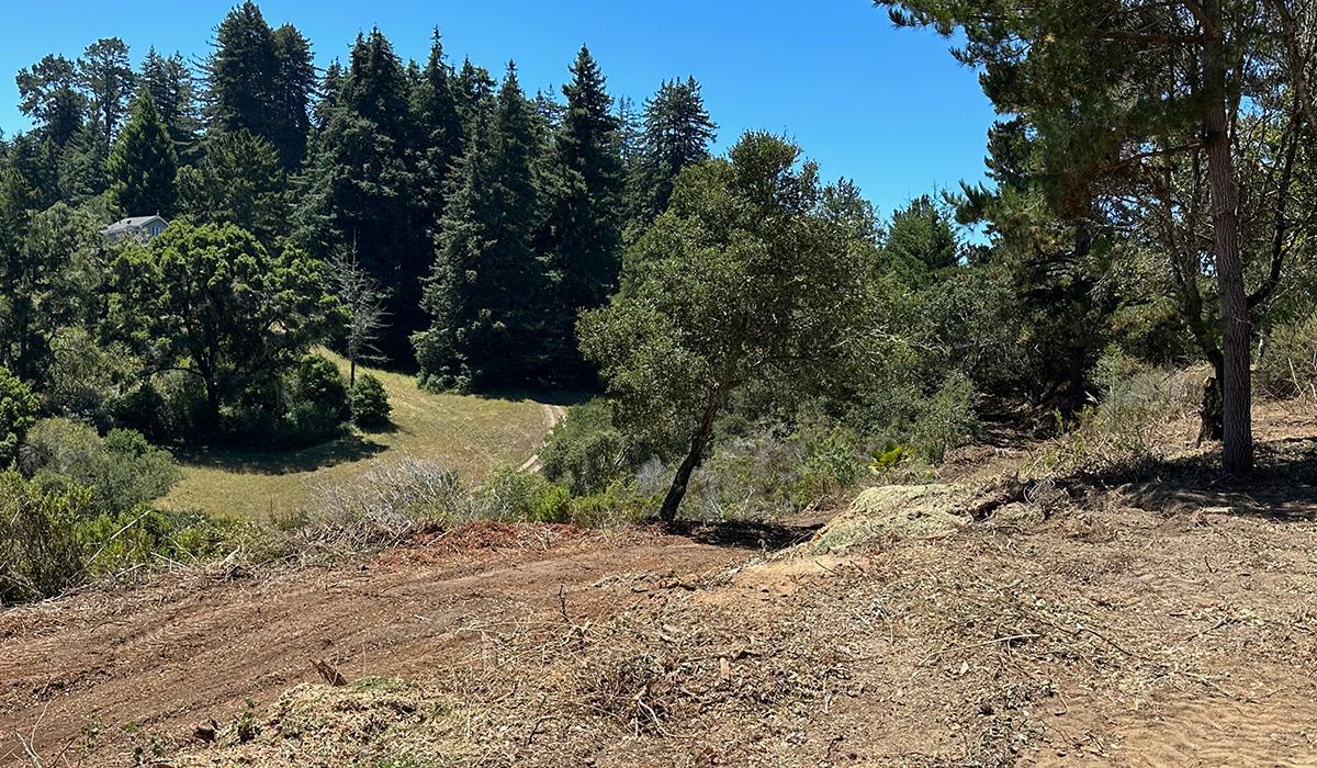 Detail Gallery Image 60 of 71 For 5601 Freedom Blvd, Aptos,  CA 95003 - 9 Beds | 7 Baths