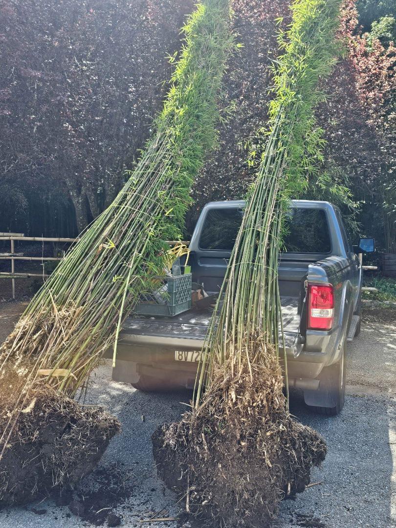 Detail Gallery Image 69 of 71 For 5601 Freedom Blvd, Aptos,  CA 95003 - 9 Beds | 7 Baths