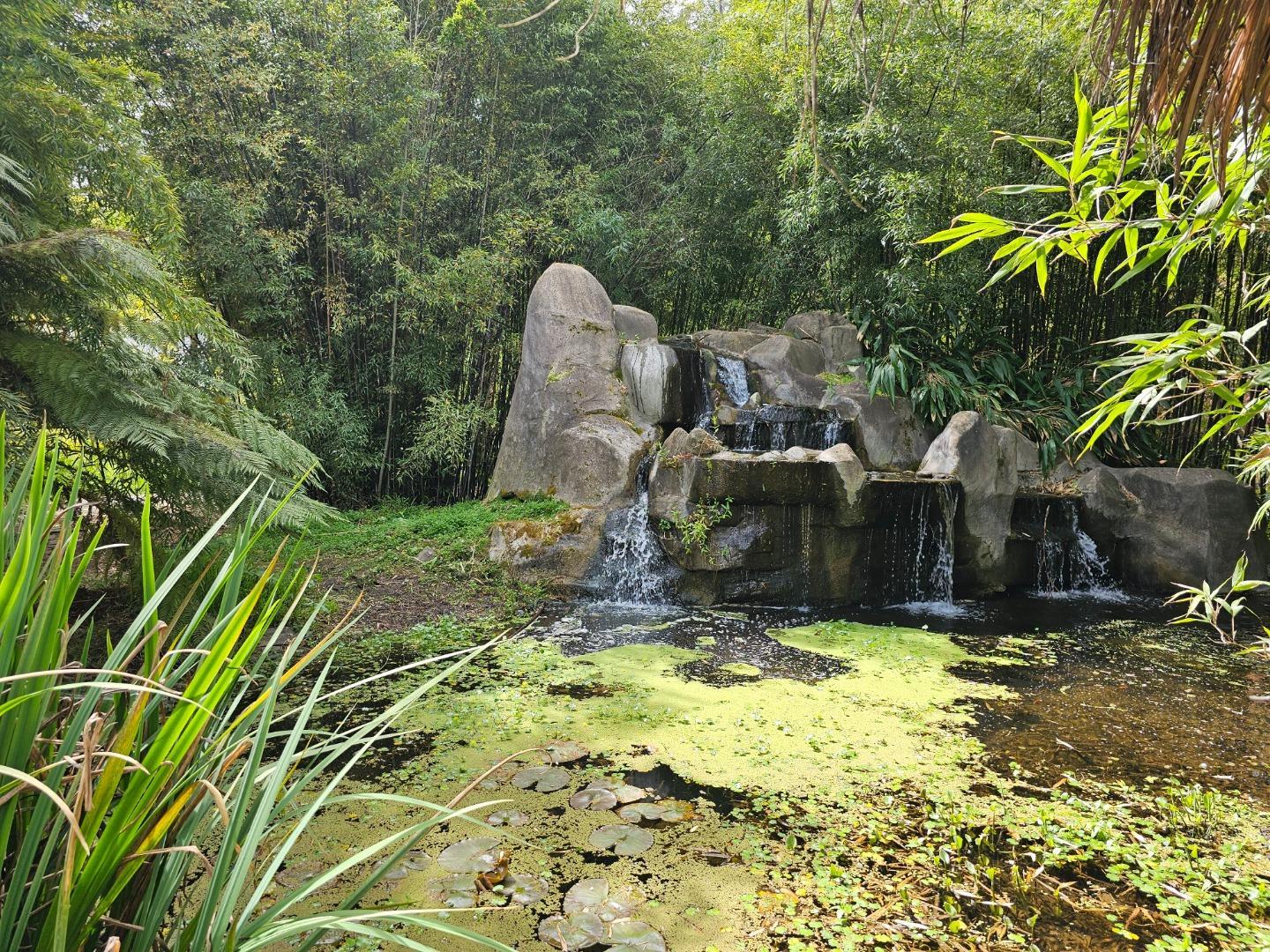 Detail Gallery Image 10 of 54 For 5601 Freedom Blvd, Aptos,  CA 95003 - – Beds | – Baths