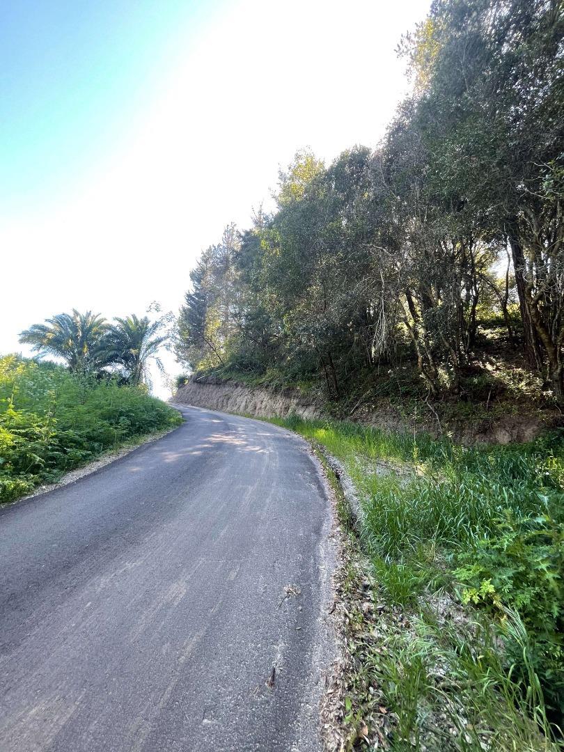 Detail Gallery Image 16 of 54 For 5601 Freedom Blvd, Aptos,  CA 95003 - – Beds | – Baths