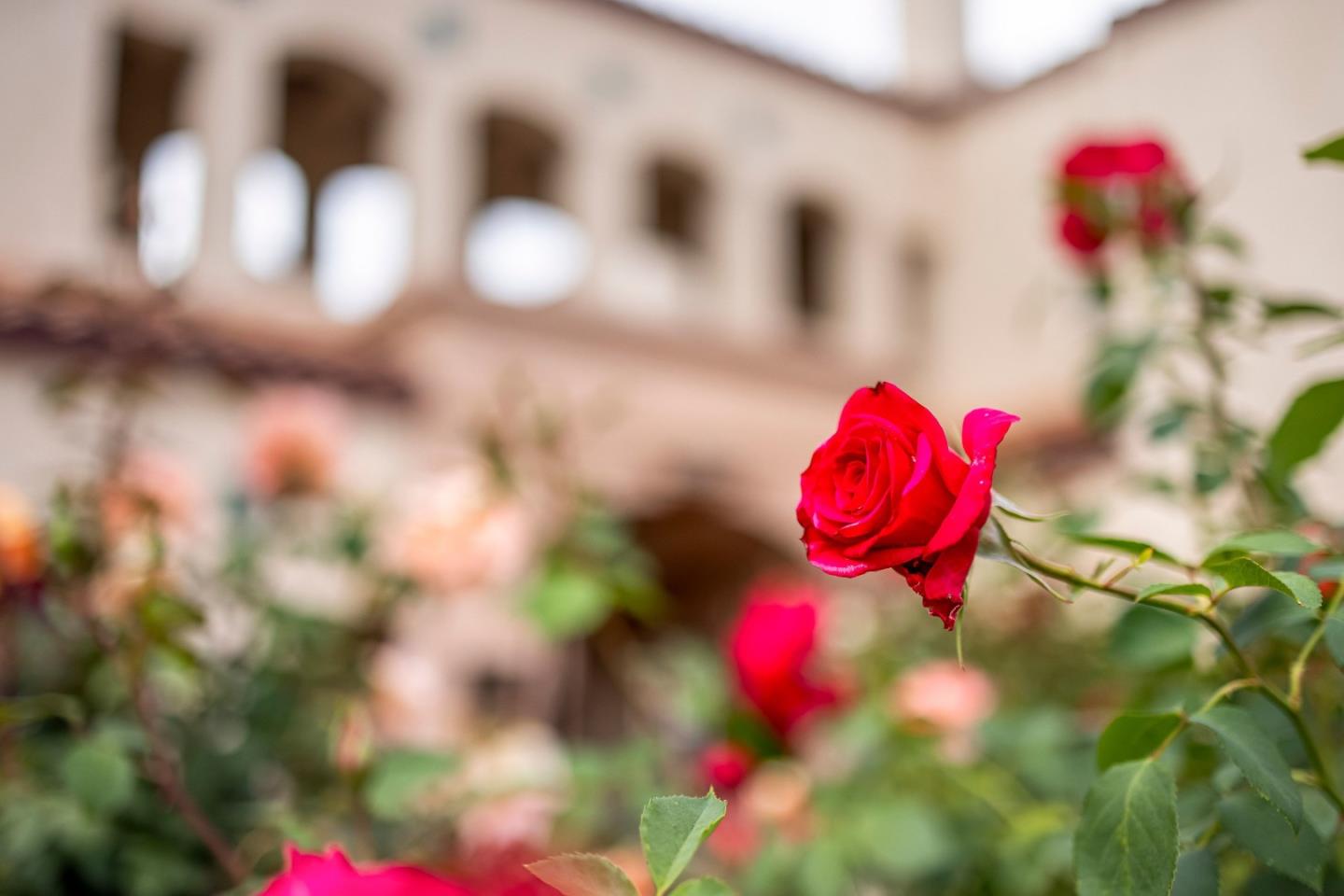 Photo #41: ML82042854 Listing: Photo #41