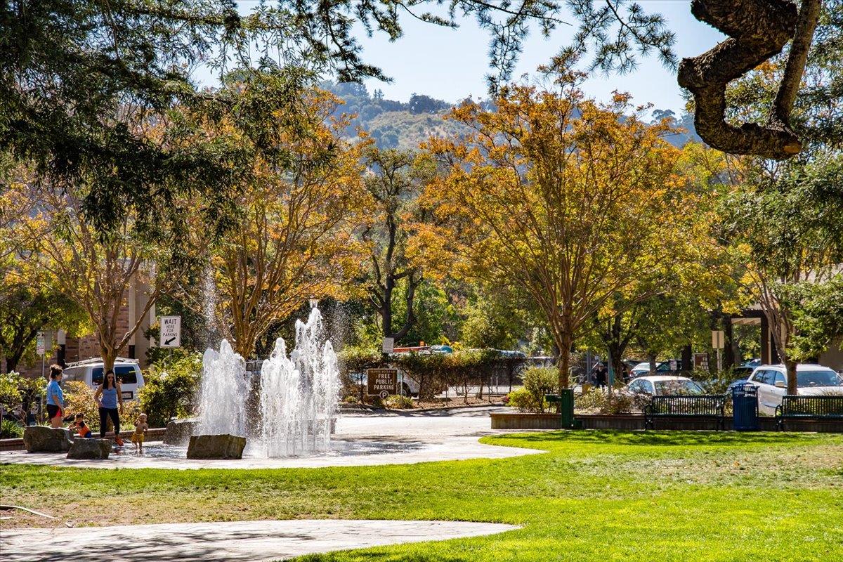 Detail Gallery Image 37 of 44 For 216 Montclair Rd, Los Gatos,  CA 95032 - 4 Beds | 2/1 Baths