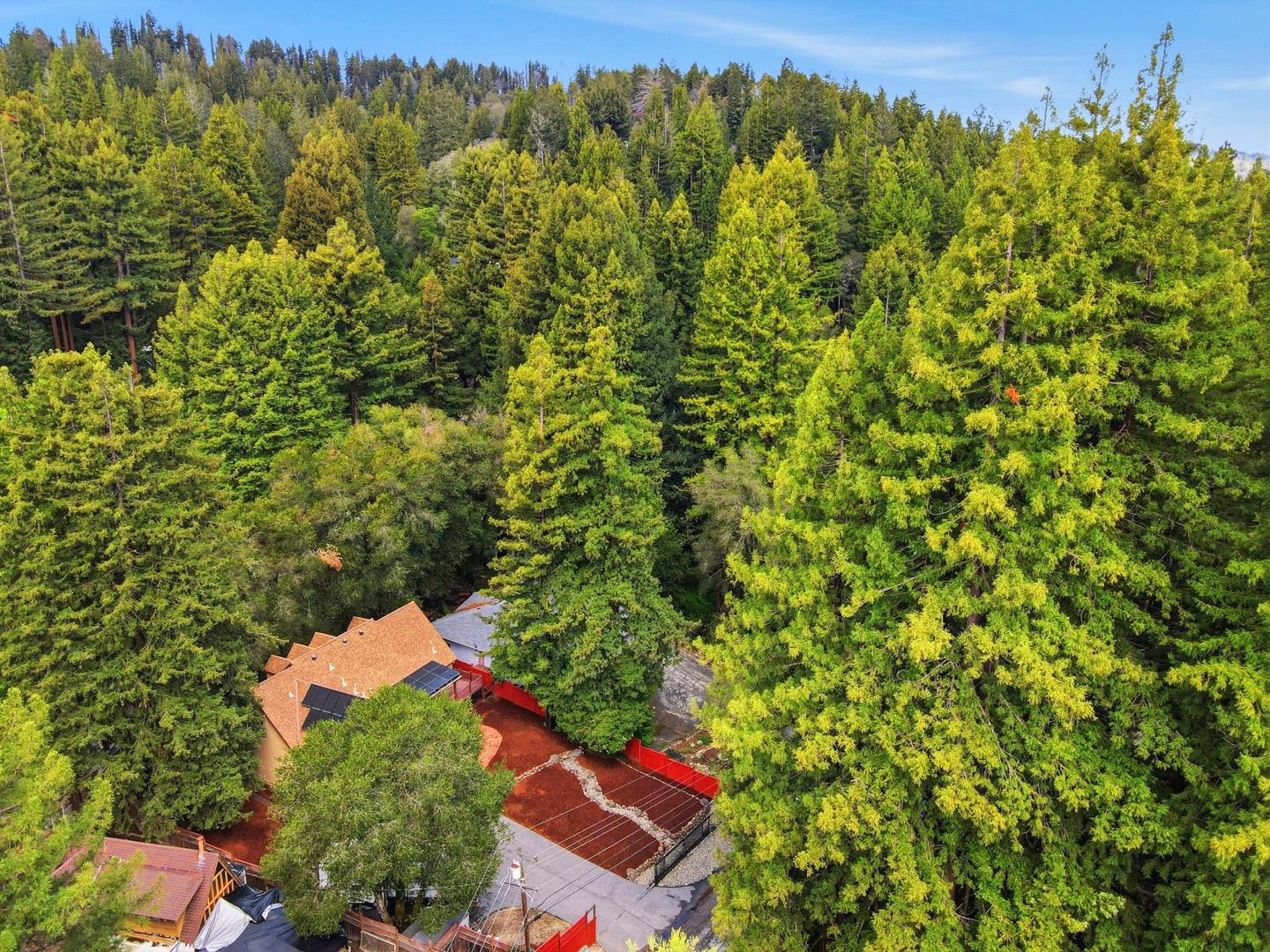 Detail Gallery Image 53 of 67 For 239 W Hilton, Boulder Creek,  CA 95006 - 4 Beds | 3 Baths