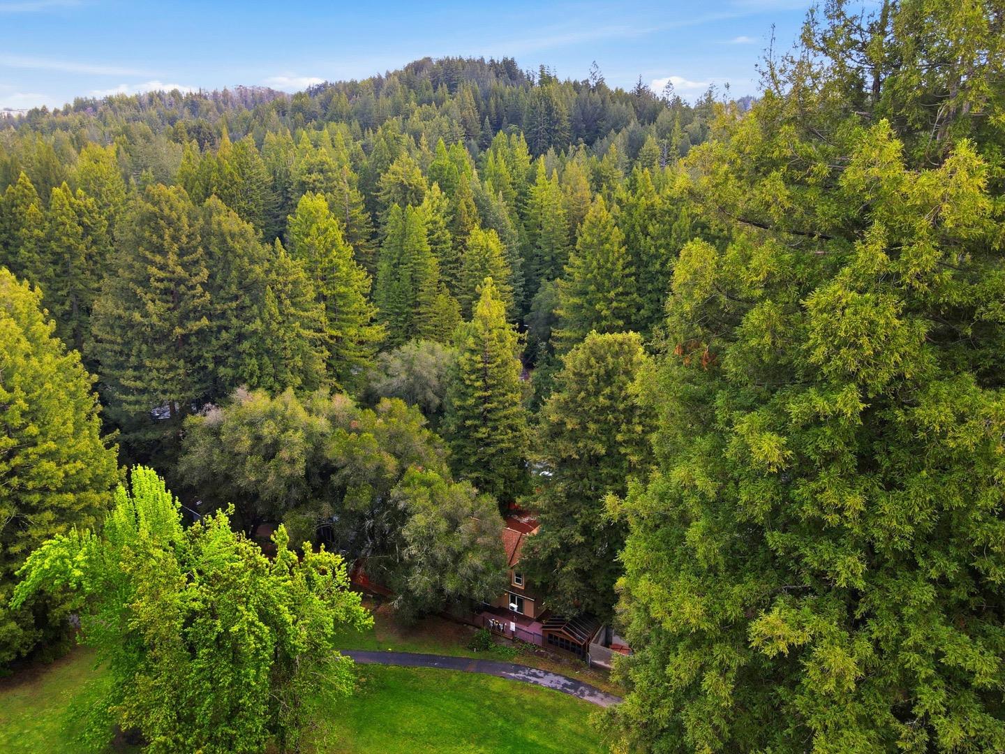 Detail Gallery Image 65 of 67 For 239 W Hilton, Boulder Creek,  CA 95006 - 4 Beds | 3 Baths