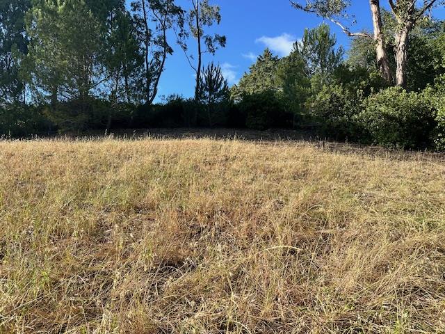 Detail Gallery Image 4 of 9 For 25391 Okeefe Lane,, Los Altos Hills,  CA 94022 - – Beds | – Baths