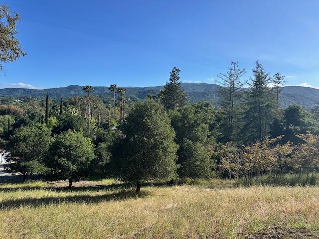 Detail Gallery Image 5 of 9 For 25391 Okeefe Lane,, Los Altos Hills,  CA 94022 - – Beds | – Baths