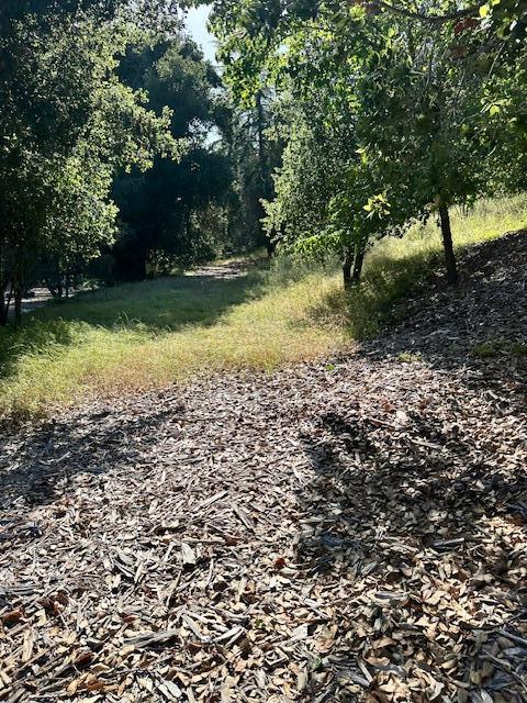 Detail Gallery Image 8 of 9 For 25391 Okeefe Lane,, Los Altos Hills,  CA 94022 - – Beds | – Baths