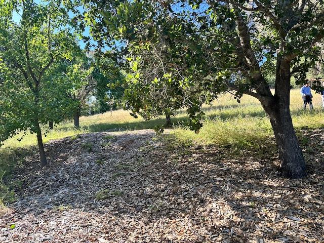 Detail Gallery Image 9 of 9 For 25391 Okeefe Lane,, Los Altos Hills,  CA 94022 - – Beds | – Baths