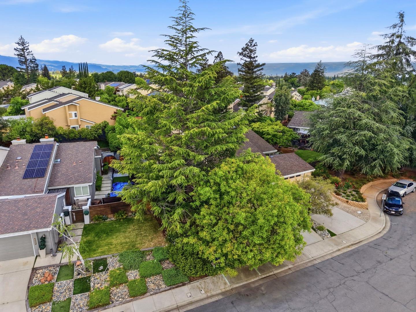 Detail Gallery Image 50 of 60 For 5231 Leesa Ann Ct, San Jose,  CA 95124 - 3 Beds | 2 Baths