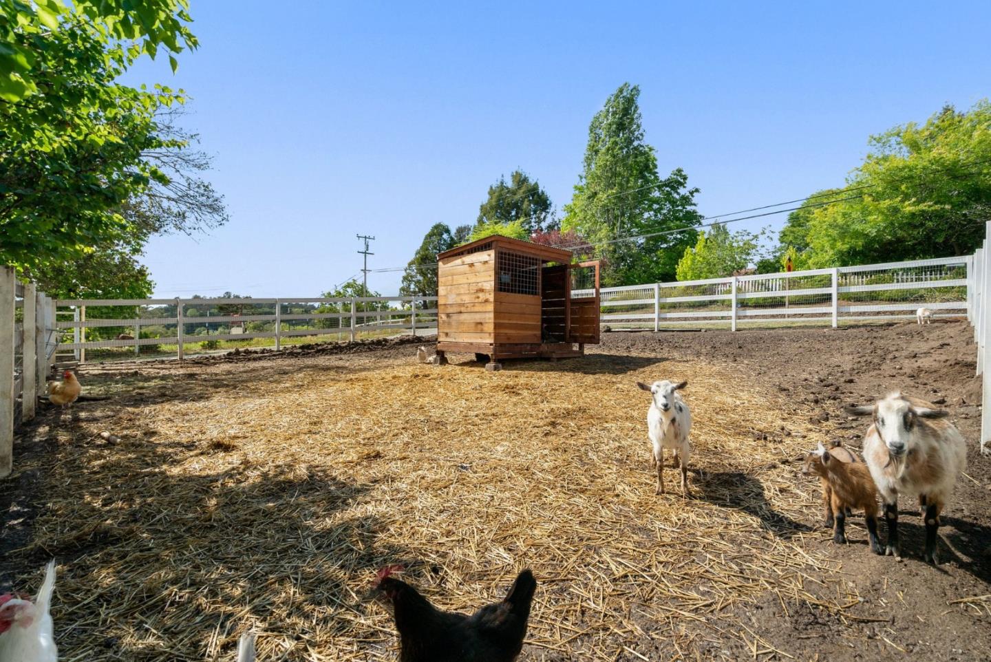 Detail Gallery Image 37 of 46 For 295 Wheelock Rd, Watsonville,  CA 95076 - 4 Beds | 2/1 Baths