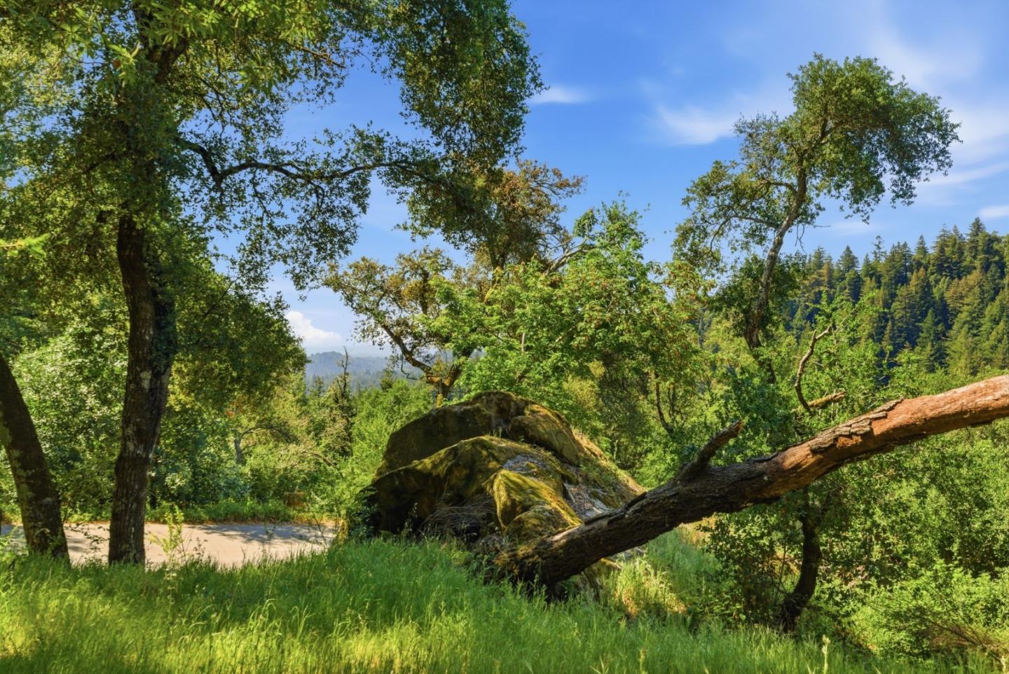 Detail Gallery Image 47 of 47 For 17515 Upper East Zayante Rd, Los Gatos,  CA 95033 - 3 Beds | 2 Baths