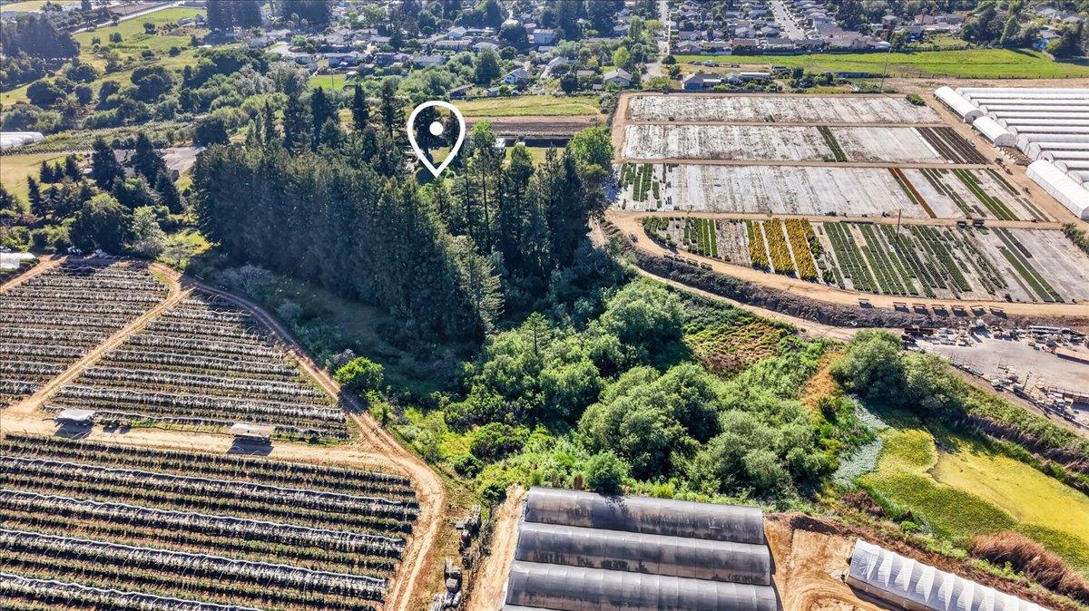 Detail Gallery Image 46 of 48 For 107 Paulsen Rd #D,  Watsonville,  CA 95076 - 3 Beds | 2 Baths