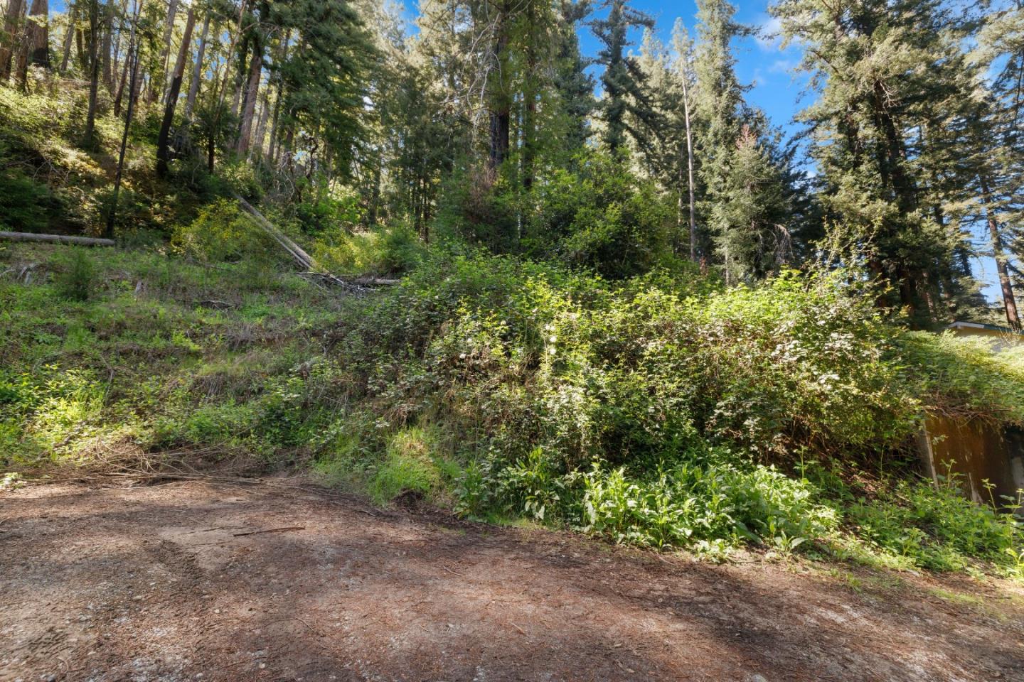 Detail Gallery Image 2 of 12 For 146 Starview Pl, Boulder Creek,  CA 95006 - – Beds | – Baths