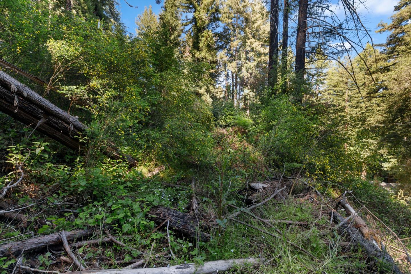 Detail Gallery Image 4 of 12 For 146 Starview Pl, Boulder Creek,  CA 95006 - – Beds | – Baths