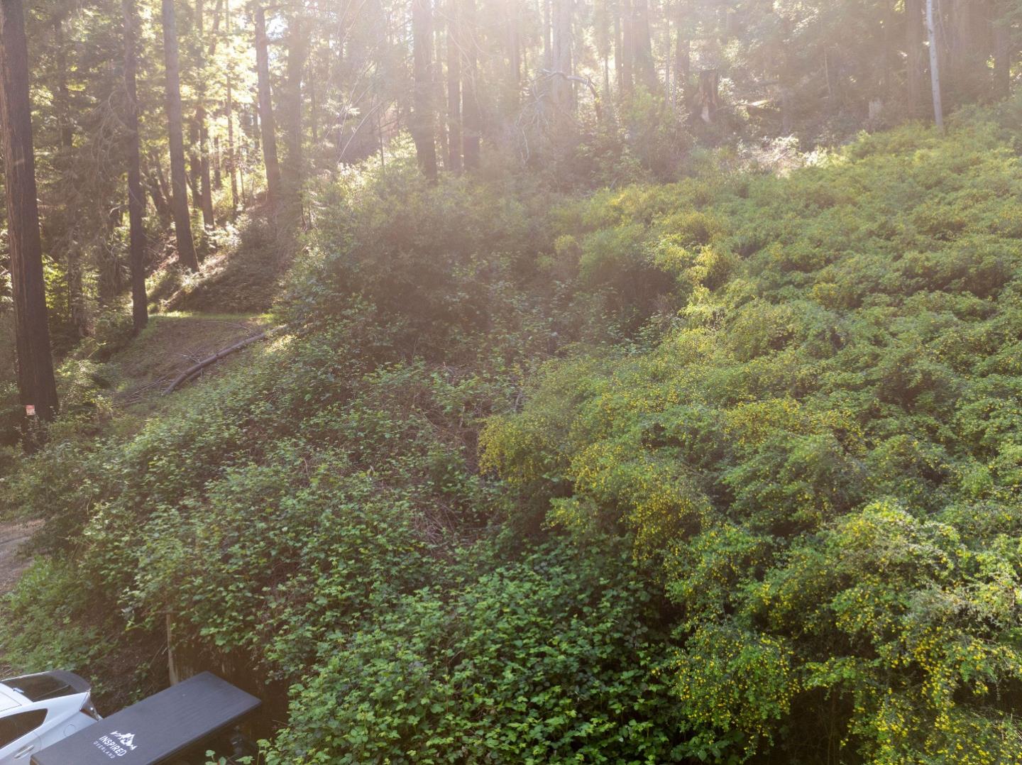 Detail Gallery Image 5 of 12 For 146 Starview Pl, Boulder Creek,  CA 95006 - – Beds | – Baths