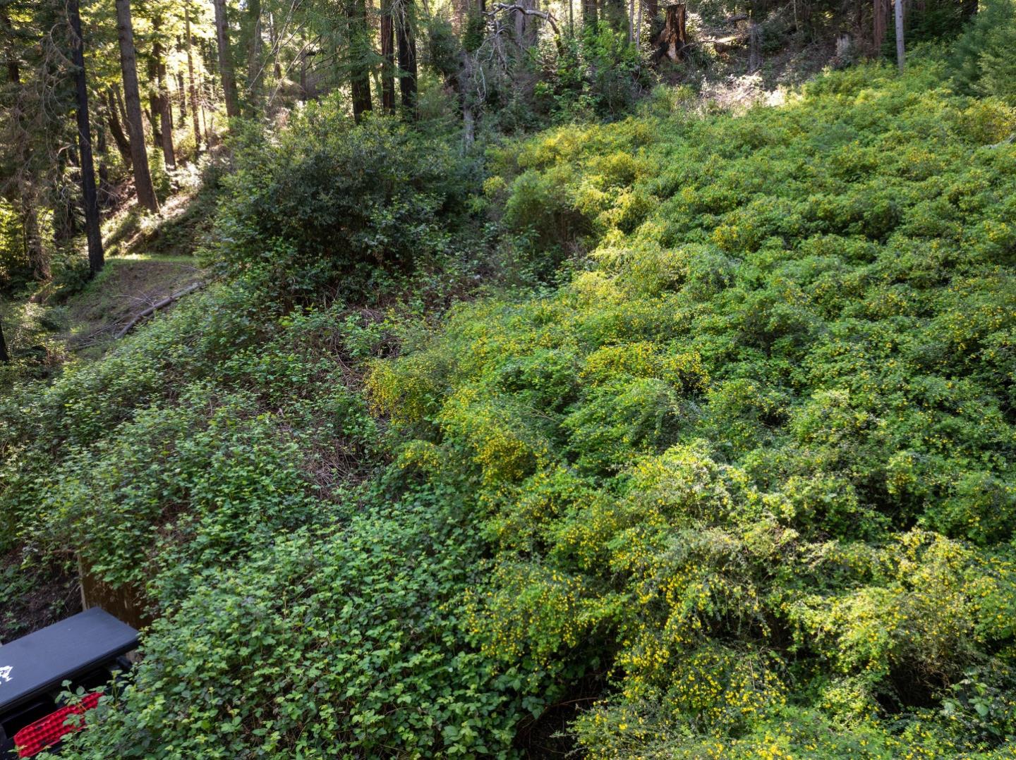 Detail Gallery Image 6 of 12 For 146 Starview Pl, Boulder Creek,  CA 95006 - – Beds | – Baths