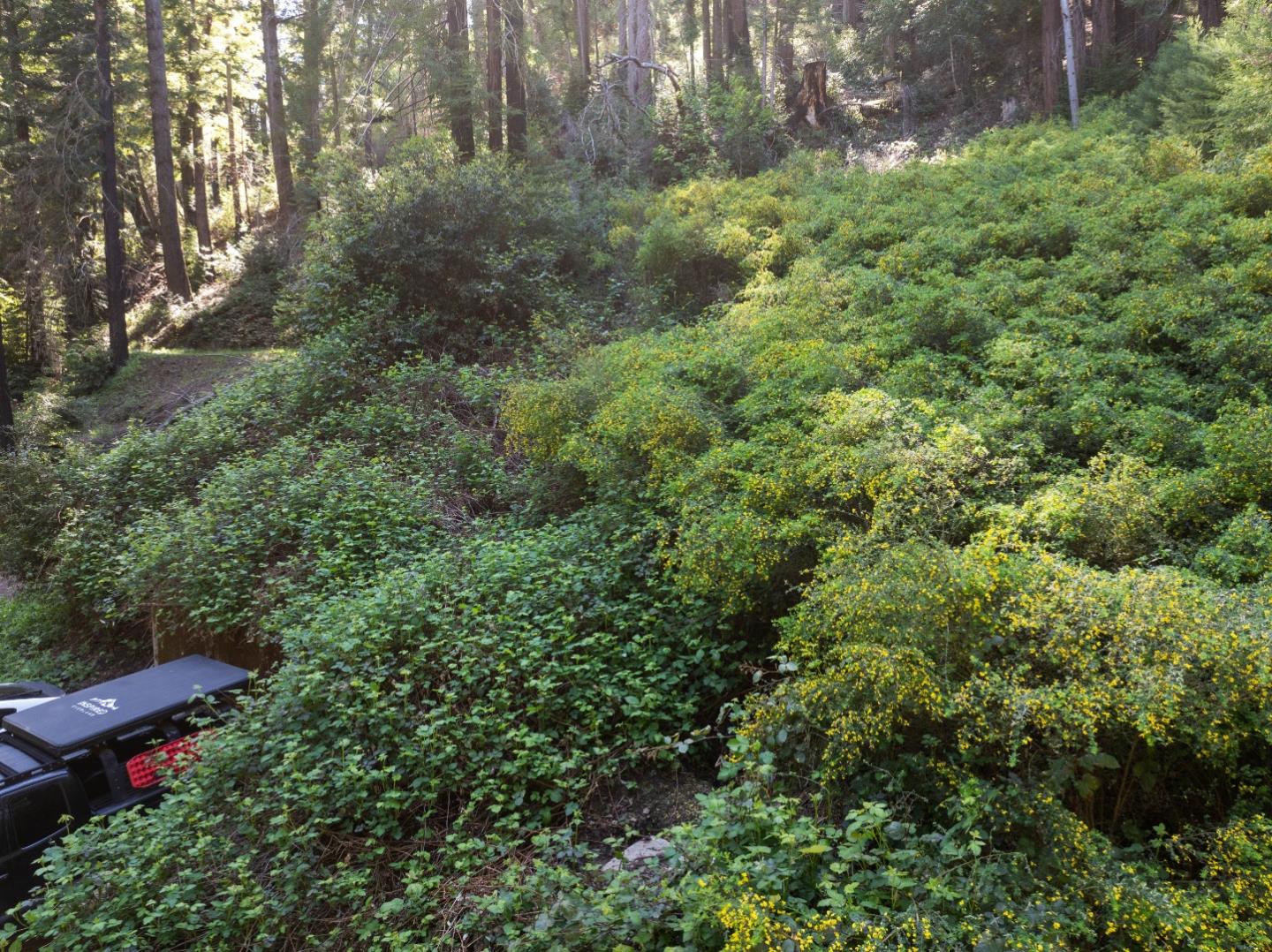 Detail Gallery Image 7 of 12 For 146 Starview Pl, Boulder Creek,  CA 95006 - – Beds | – Baths