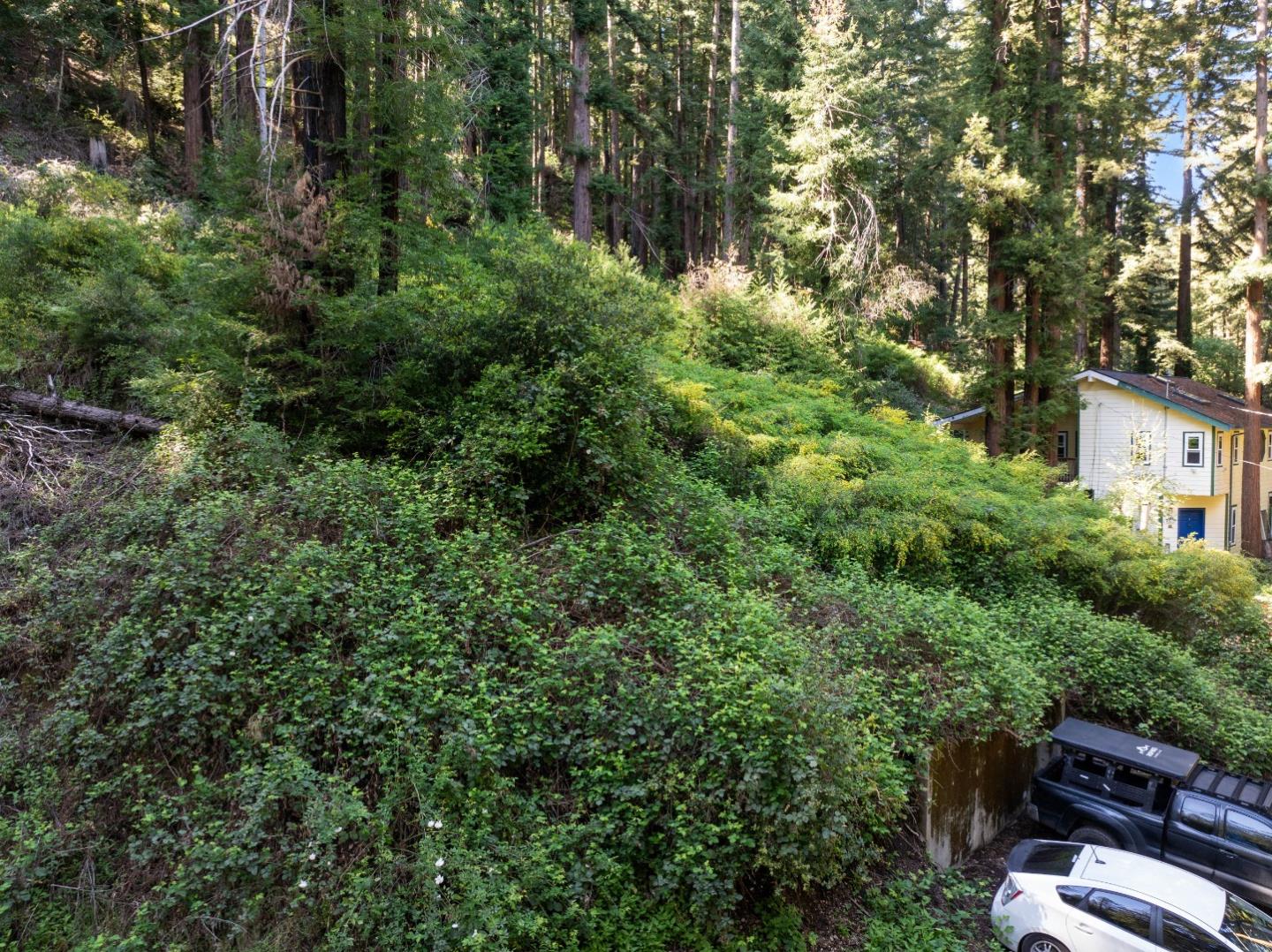 Detail Gallery Image 8 of 12 For 146 Starview Pl, Boulder Creek,  CA 95006 - – Beds | – Baths