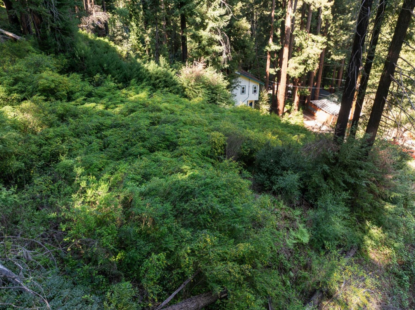 Detail Gallery Image 9 of 12 For 146 Starview Pl, Boulder Creek,  CA 95006 - – Beds | – Baths