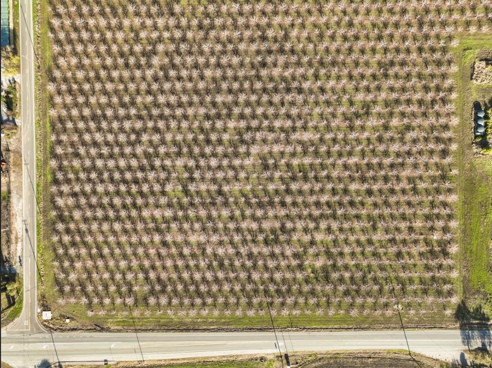 Front Image Thumbnail for ML82042962