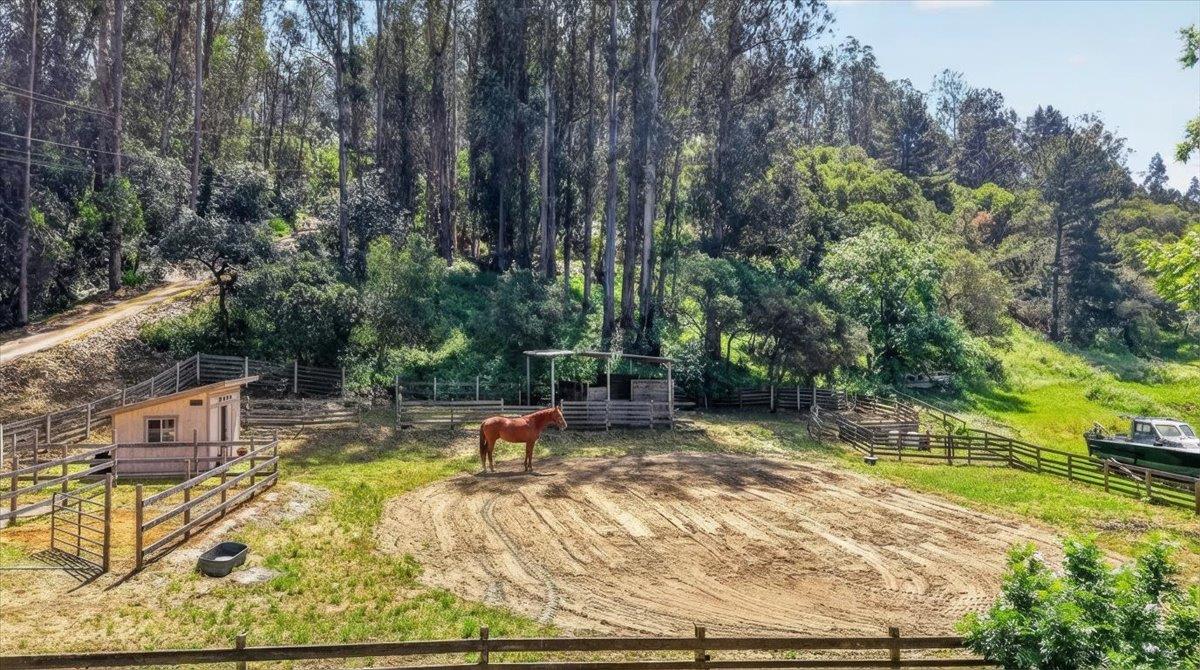 Detail Gallery Image 2 of 35 For 575 Snyder Ave, Aromas,  CA 95004 - 3 Beds | 2 Baths