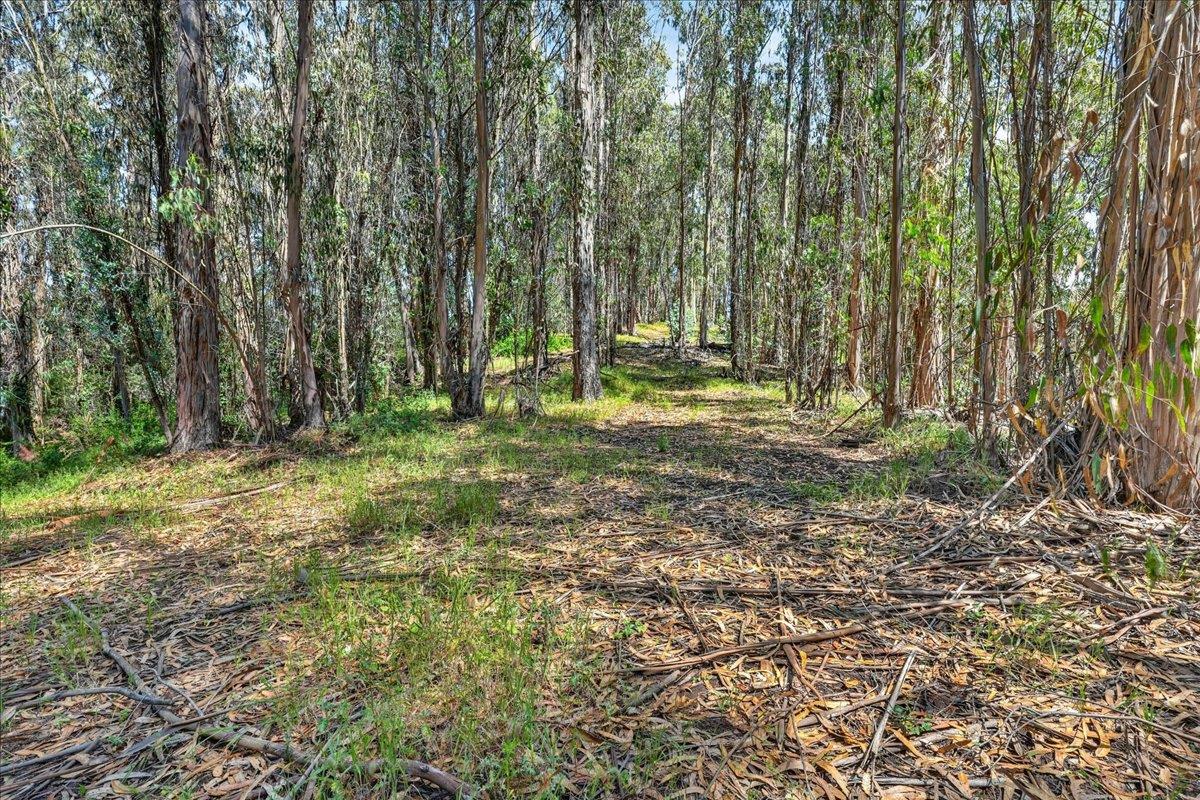 Detail Gallery Image 35 of 35 For 575 Snyder Ave, Aromas,  CA 95004 - 3 Beds | 2 Baths