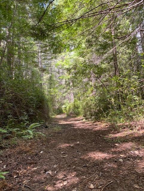 Front Image Thumbnail for ML82042979