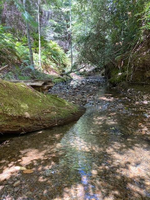 Detail Gallery Image 2 of 4 For Address Not Disclosed, Piercy,  CA 95587 - – Beds | – Baths