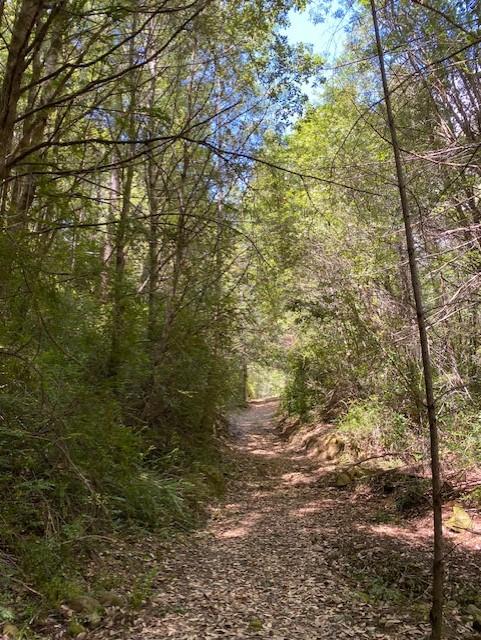 Detail Gallery Image 3 of 4 For Address Not Disclosed, Piercy,  CA 95587 - – Beds | – Baths