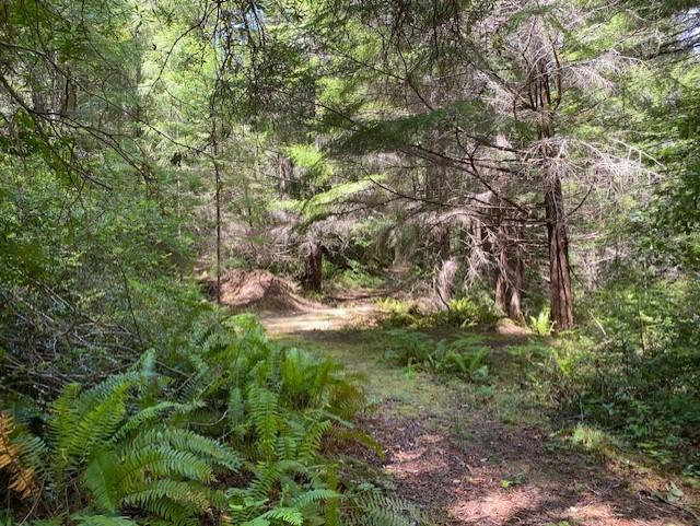 Detail Gallery Image 4 of 4 For Address Not Disclosed, Piercy,  CA 95587 - – Beds | – Baths