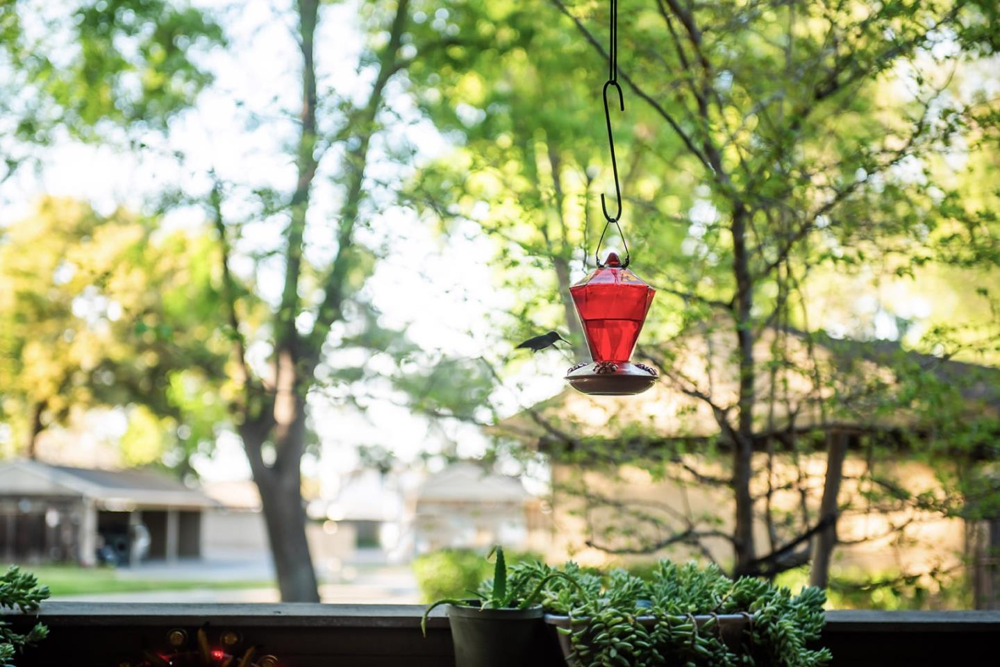Photo #23: ML82042980 Listing: Photo #23