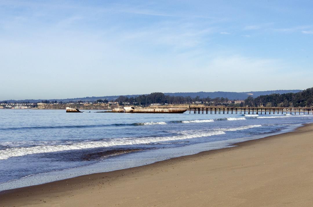 Detail Gallery Image 34 of 40 For 142 Thunderbird Dr, Aptos,  CA 95003 - 3 Beds | 2/1 Baths